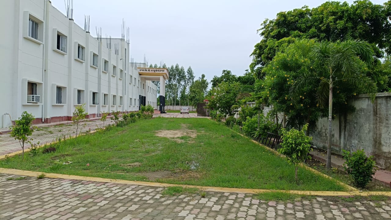 Campus Landscape